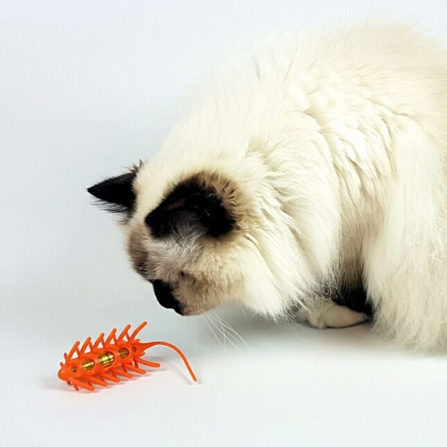 Catchy-Mouse-Orange-2-@catsandthings.nl_ Catchy-Mouse-Orange-2-@catsandthings.nl_