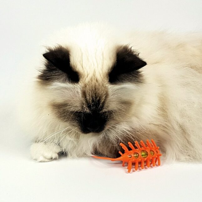 Catchy-Mouse-Orange-3-@catsandthings.nl_ Catchy-Mouse-Orange-3-@catsandthings.nl_