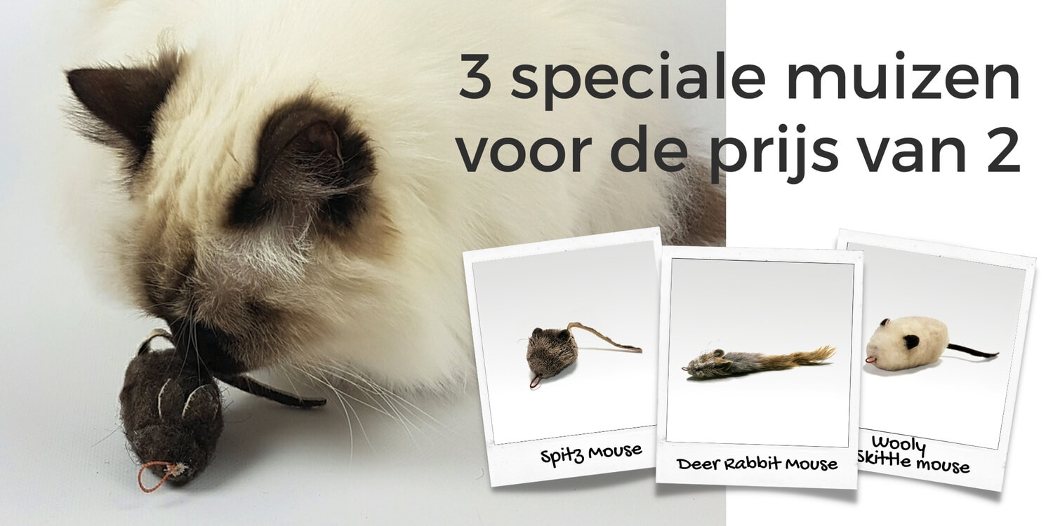 3. Dank TAT3muis Speciaal voor jou geselecteerd