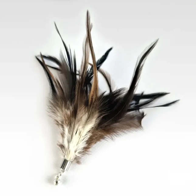 Feather Royal Rooster 09-2 Feather Royal Rooster 09-2