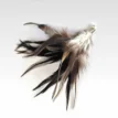 Feather Royal Rooster 09-3