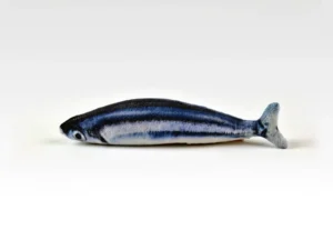 matatabi speeltje voor je kat in de vorm van een vis - Ferribiella Sardine Matatabi