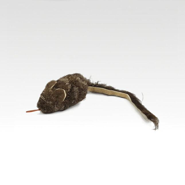 Field-Mouse-24-2 Field-Mouse-24-2