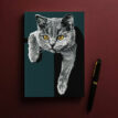 Flora-British-Shorthair-Notebook-bij-catsandthings.2