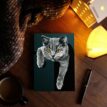 Flora-British-Shorthair-Notebook-bij-catsandthings.3