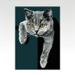 Flora-British-Shorthair-Print-bij-catsandthings.1