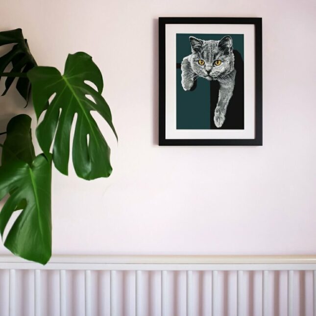 Flora-British-Shorthair-Print.2 Flora-British-Shorthair-Print.2