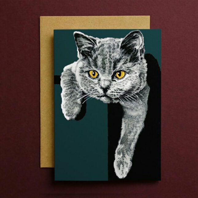 Flora-British-Shorthair-bij-catsandthings.2 Flora-British-Shorthair-bij-catsandthings.2