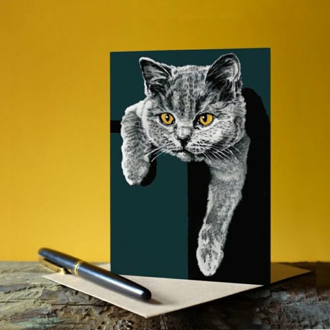 Flora-British-Shorthair-bij-catsandthings.3 Flora-British-Shorthair-bij-catsandthings.3