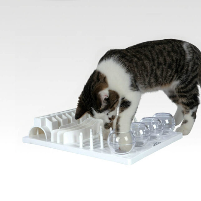 Fun-Board-Spel-voerpuzzel-2@catsandthings.nl_ Fun-Board-Spel-voerpuzzel-2@catsandthings.nl_