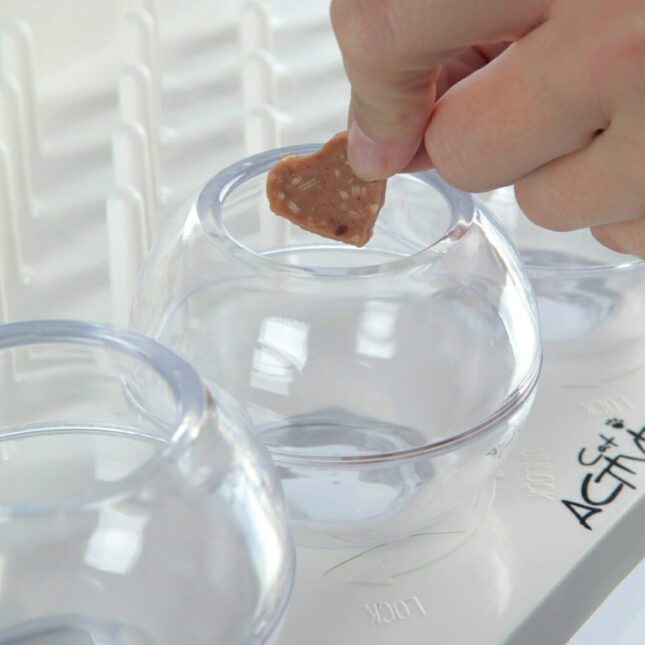 Fun-Board-Spel-voerpuzzel-3@catsandthings.nl_ Fun-Board-Spel-voerpuzzel-3@catsandthings.nl_