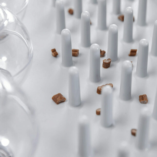 Fun-Board-Spel-voerpuzzel-5@catsandthings.nl_ Fun-Board-Spel-voerpuzzel-5@catsandthings.nl_