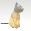 Geografische-Kattenlamp-2-@catsandthings.nl_