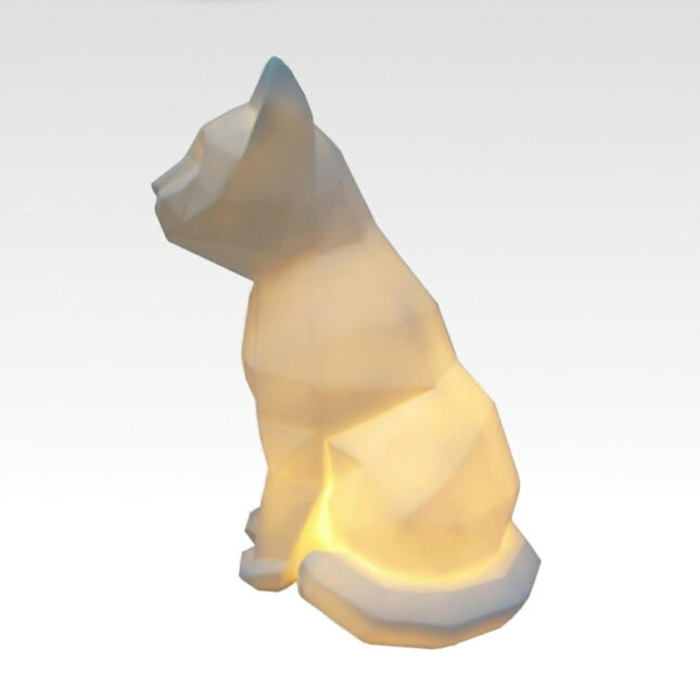 Geografische-Kattenlamp-4-@catsandthings.nl_ Geografische-Kattenlamp-4-@catsandthings.nl_