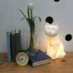 Geografische-Kattenlamp-5-@catsandthings.nl_