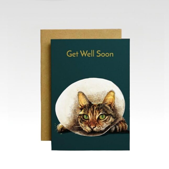 Get-Well-Soon-bij-catsandthings.1