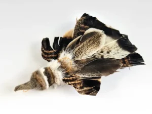hengelprooi in de vorm van een gouden arend voor je kat