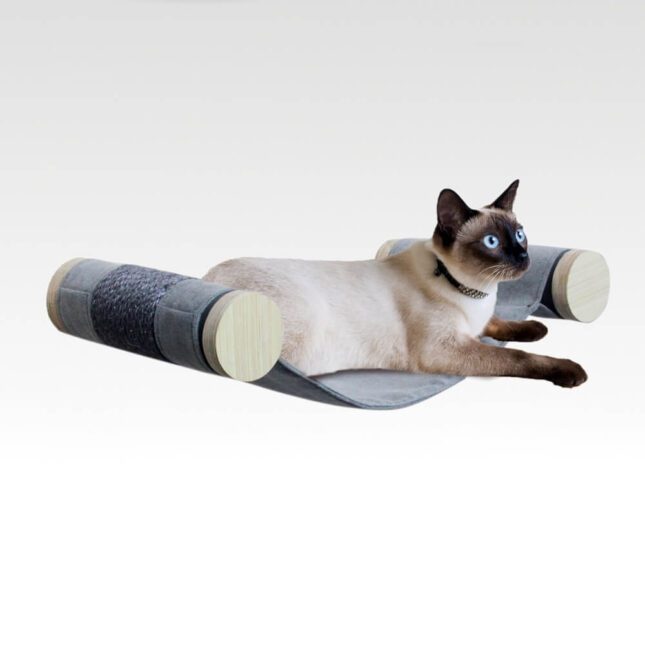 HOF-AFPK02273 HOF-AFPK02273