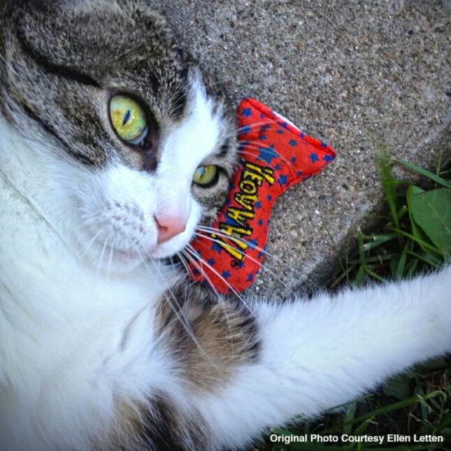 HOF-YEW02-Catnip-Stinkies HOF-YEW02-Catnip-Stinkies