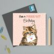 Have-a-purrrfect-Birthday-Cat-Card-2