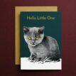 Hello-little-one-bij-catsandthings.2