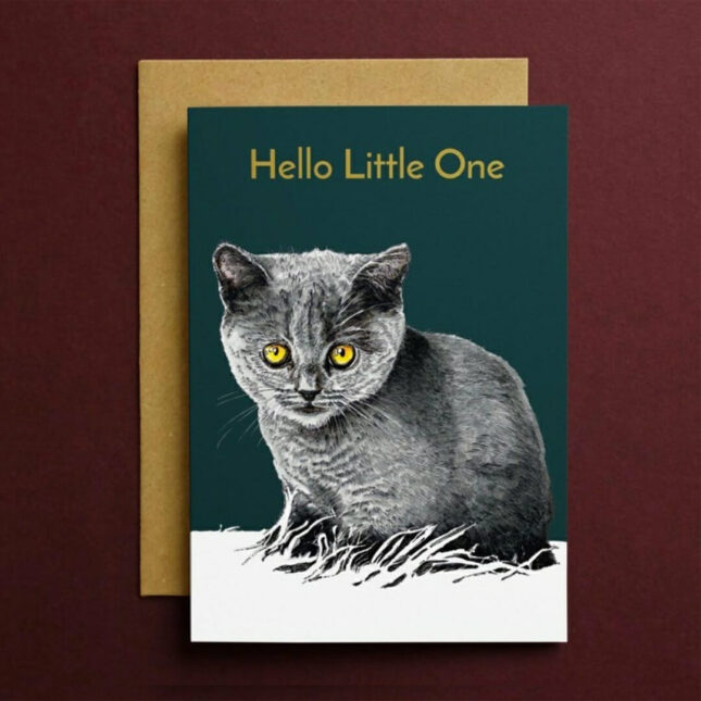 Hello-little-one-bij-catsandthings.2 Hello-little-one-bij-catsandthings.2