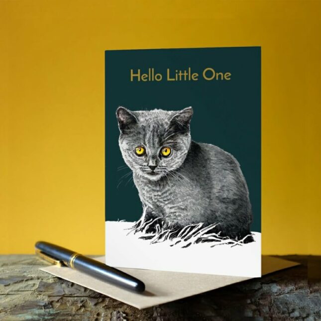 Hello-little-one-bij-catsandthings.3 Hello-little-one-bij-catsandthings.3