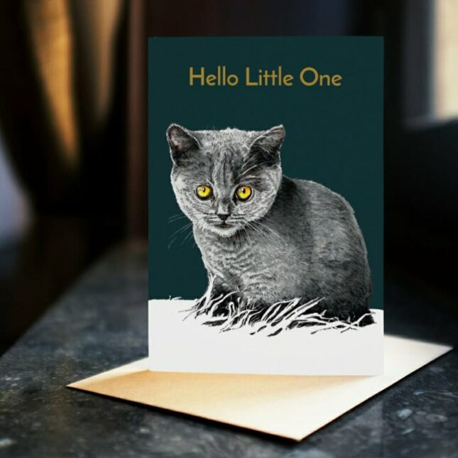 Hello-little-one-bij-catsandthings.4 Hello-little-one-bij-catsandthings.4