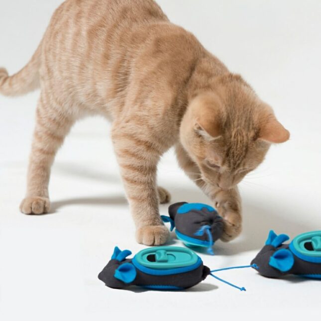 Hunting-Feeder-3 Hunting-Feeder-3