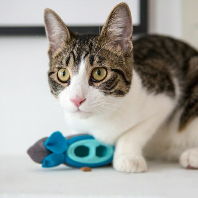 Hunting-Feeder-6 Hunting-Feeder-6