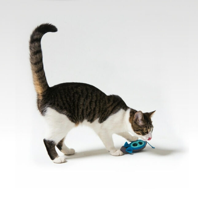 Hunting-Feeder-7 Hunting-Feeder-7