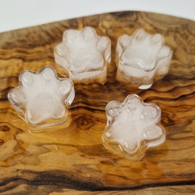 IJsklontjes-pootjes IJsklontjes-pootjes