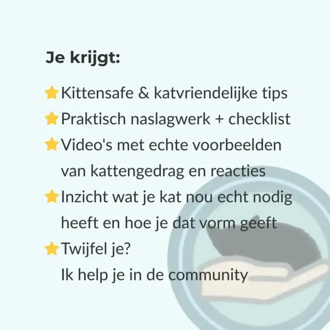 KITTENintroductie - bullits 1 KITTENintroductie - bullits 1