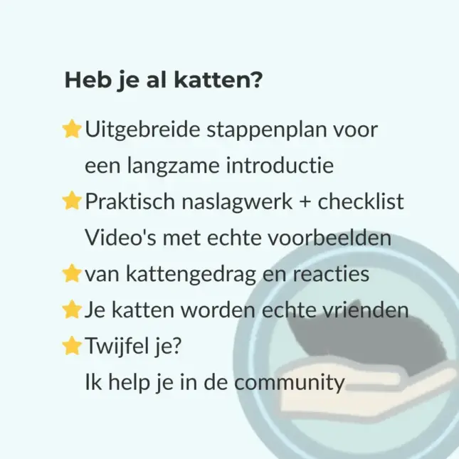 KITTENintroductie - bullits 2 KITTENintroductie - bullits 2