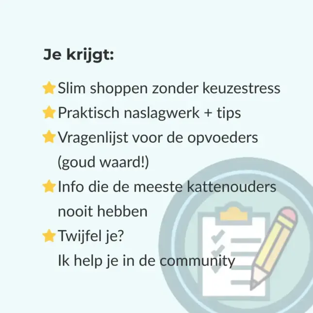 KITTENspullen Kompas - bullets KITTENspullen Kompas - bullets