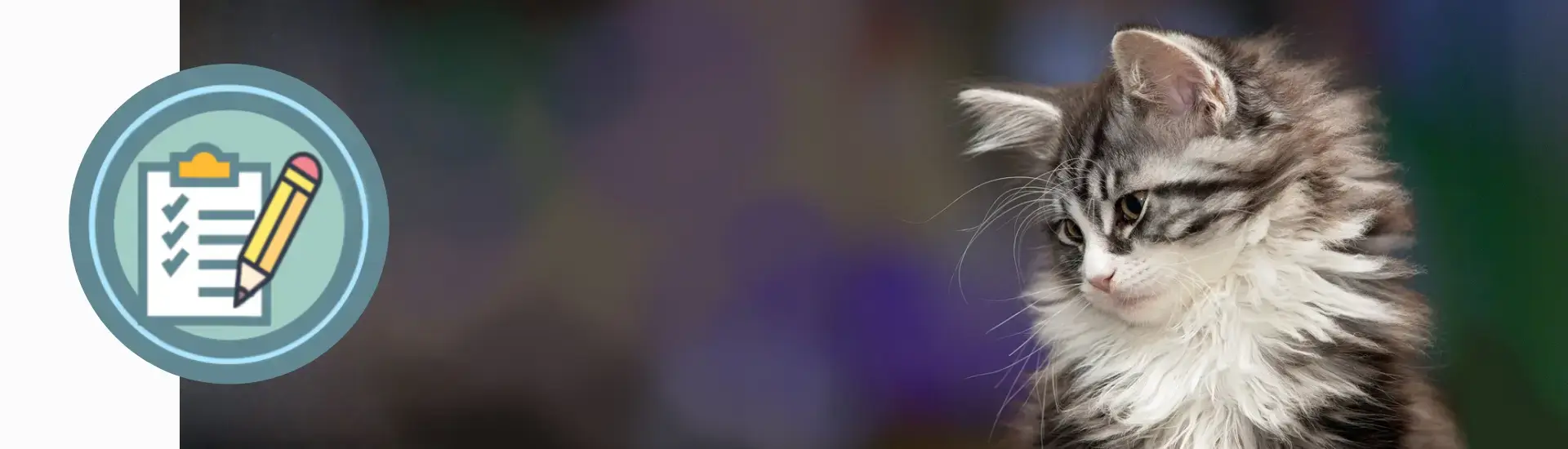 KITTENspullen Kompas hulp bij shoppen