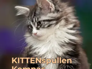 KITTENspullen Kompas - samen doen