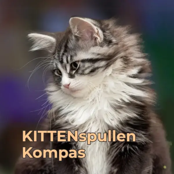 KITTENspullen Kompas - samen doen