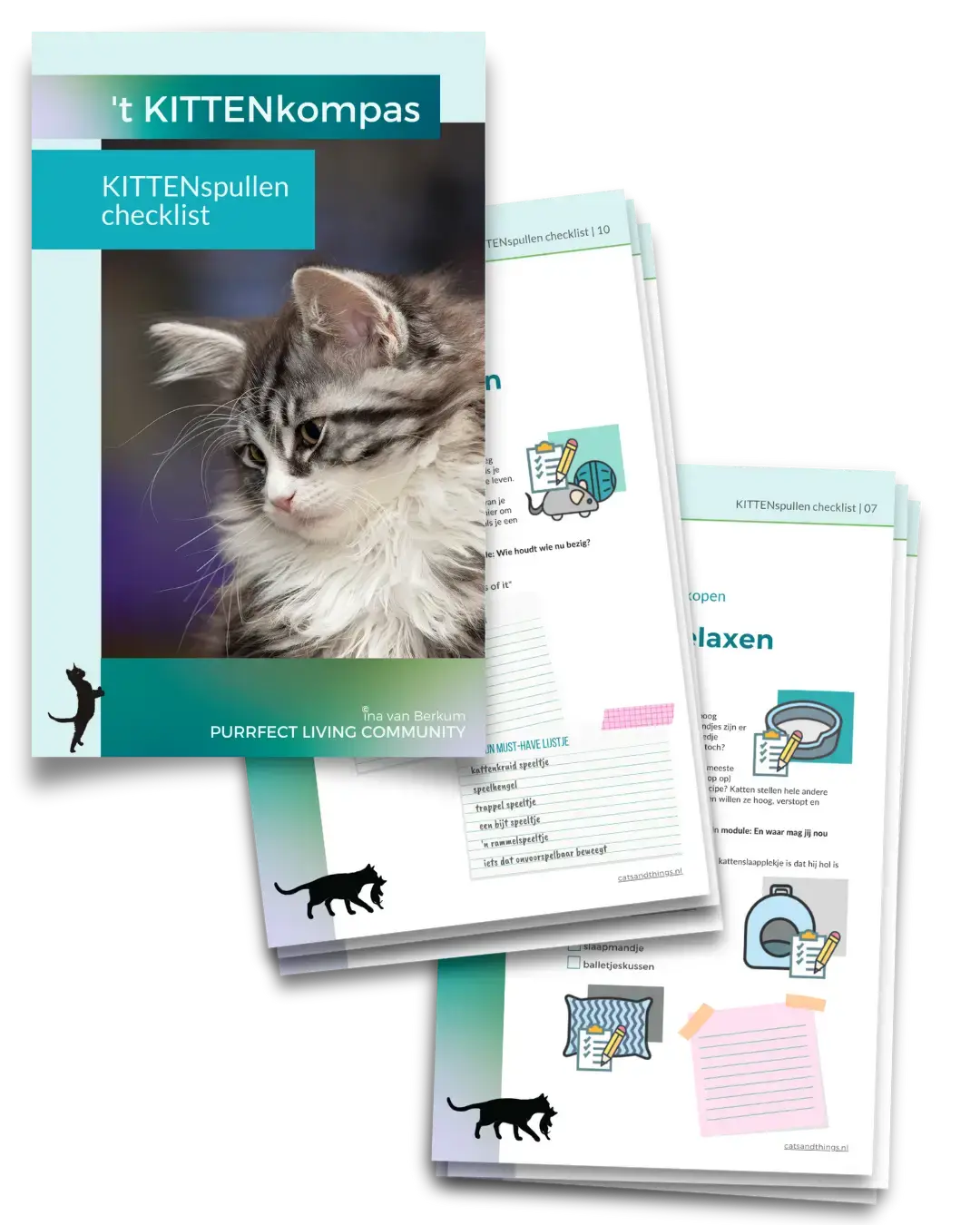 Complete kittenspullen checklist voor jou