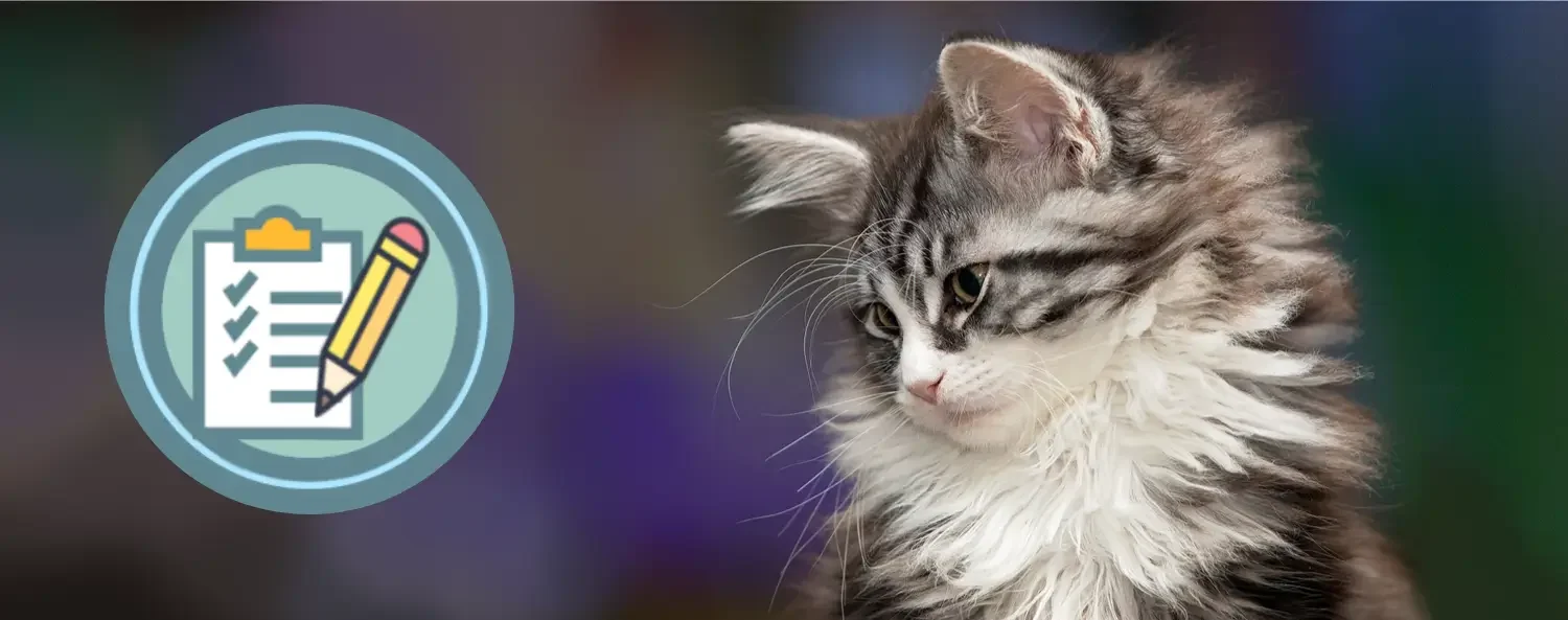 KITTENspullen info-training