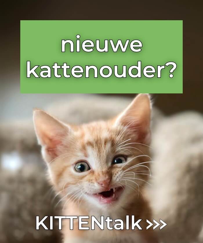 KITTENtalk de groep voor nieuwe kattenouders doe mee