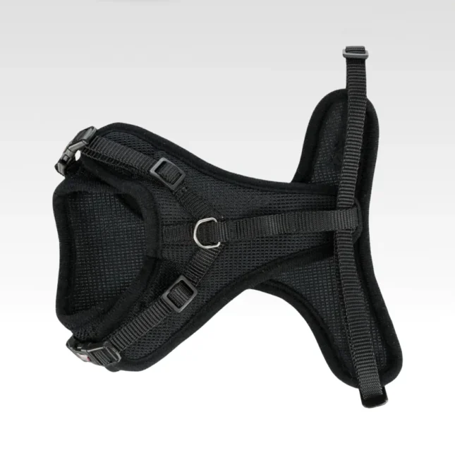 Katten Y-tuig met riem 2 Katten Y-tuig met riem 2