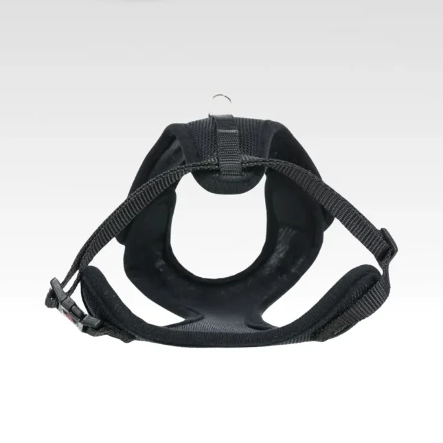 Katten Y-tuig met riem 4 Katten Y-tuig met riem 4