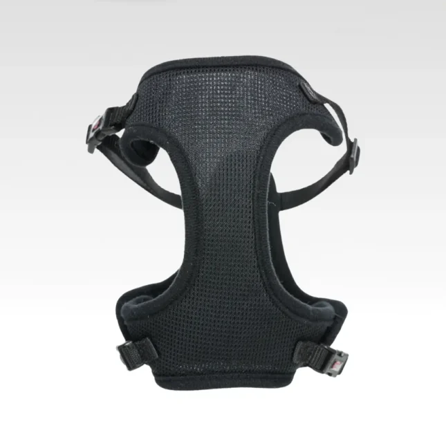 Katten Y-tuig met riem 5 Katten Y-tuig met riem 5