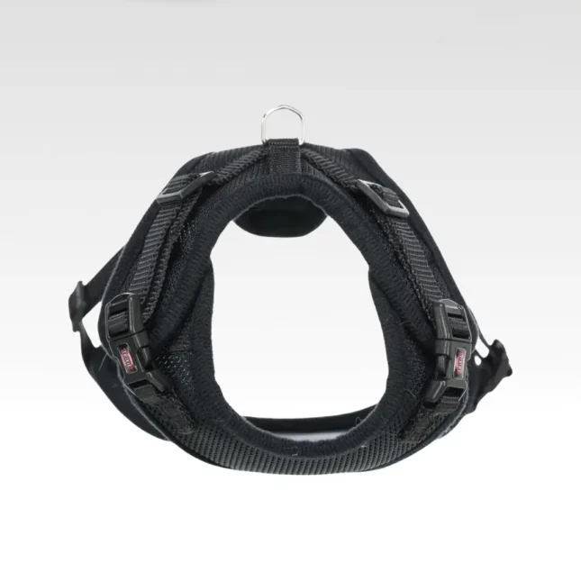 Katten Y-tuig met riem 6 Katten Y-tuig met riem 6