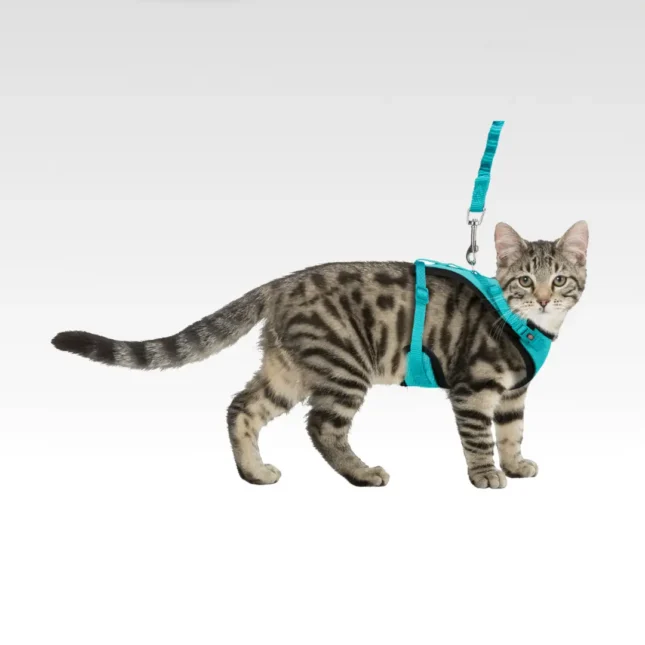 Katten Y-tuig met riem Katten Y-tuig met riem