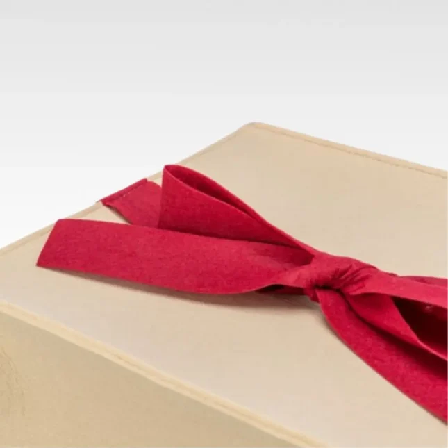 Katten verstophol Cadeautje Strik Close up Katten verstophol Cadeautje Strik Close up