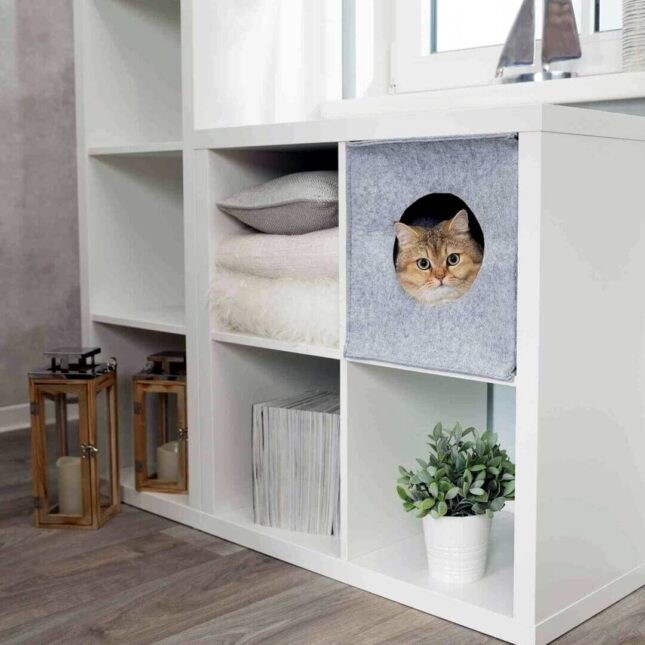 Katten-verstophol-Felt-Kallax-2 Katten-verstophol-Felt-Kallax-2