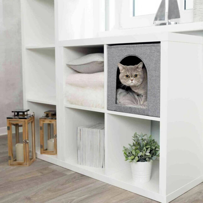 Katten-verstophol-Kallax-Luxe-3 Katten-verstophol-Kallax-Luxe-3