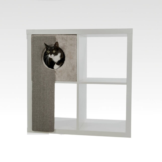 Katten-verstophol-Pluche-Kallax-3 Katten-verstophol-Pluche-Kallax-3